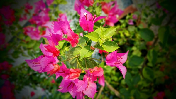 Climatisation réversible 95 : découvrez nos solutions efficaces